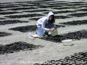 Ausaat-Neem-Plan-Verde-e.V.-NL