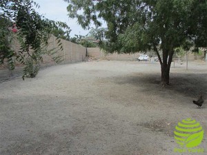 Plan-Verde---Hogar-de-Christo