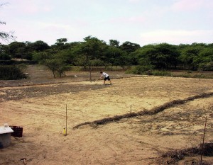 Plan-Verde-erstes-Land---Baumschule