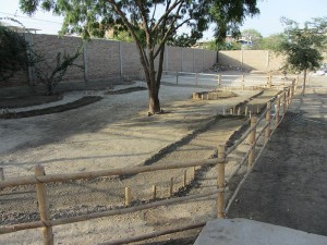 Planzbeete-fuer-das-Hogar-de-Cristo---Plan-Verde-e.V.