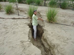 Vetiver-Gras-Wurzeln-Plan-Verde-e.V.