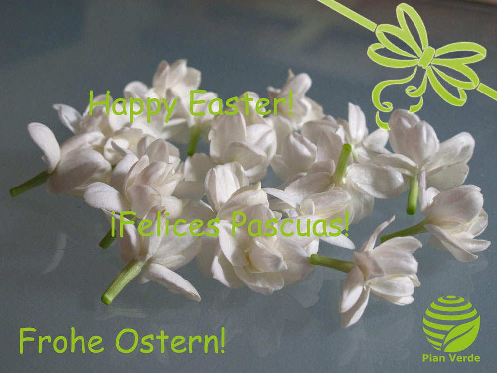 Ostern-2016
