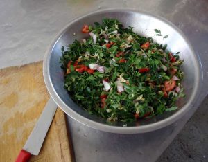 Moringasalat-Plan-Verde-e.V.
